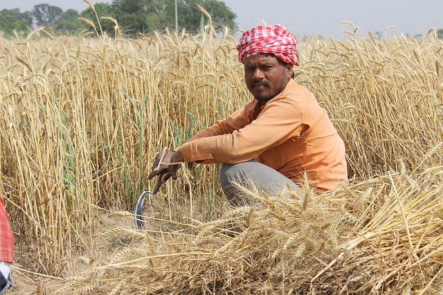 kisan credit card sbi किसान  क्रेडिट कार्ड kisan vikas patra किसान विकास पत्र pm-kisan प्रधानमंत्री किसान सम्मान निधि योजना